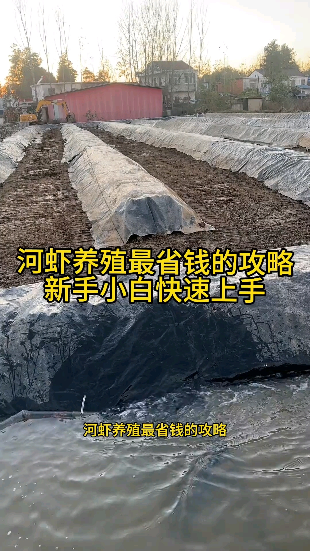 河虾苗，养殖教程，