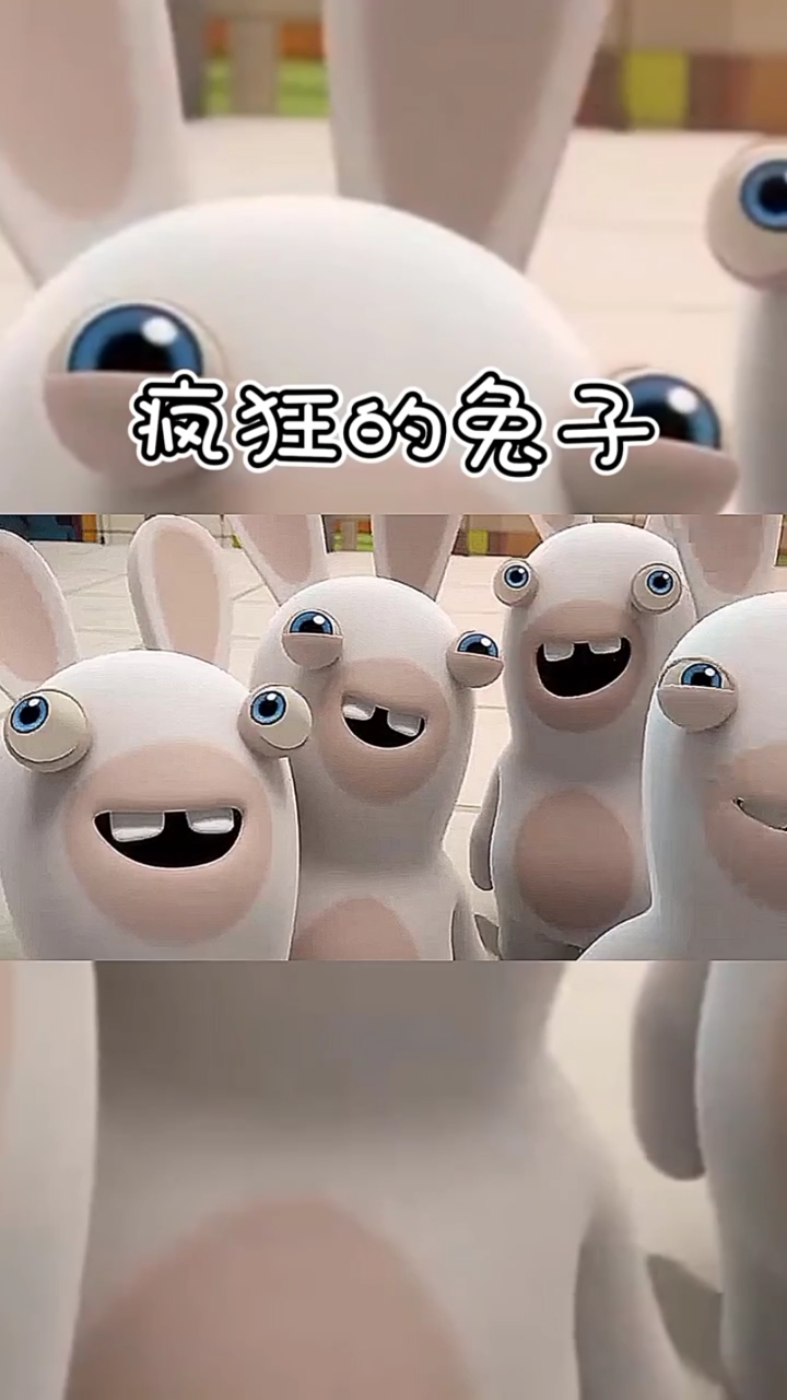 疯狂的兔子第一季