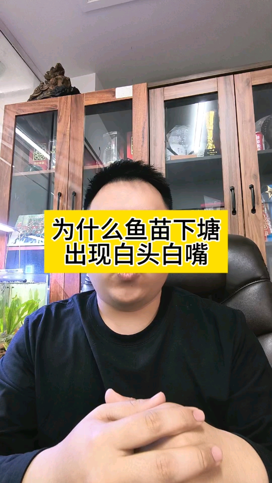 鱼苗下塘以后出现白头白嘴