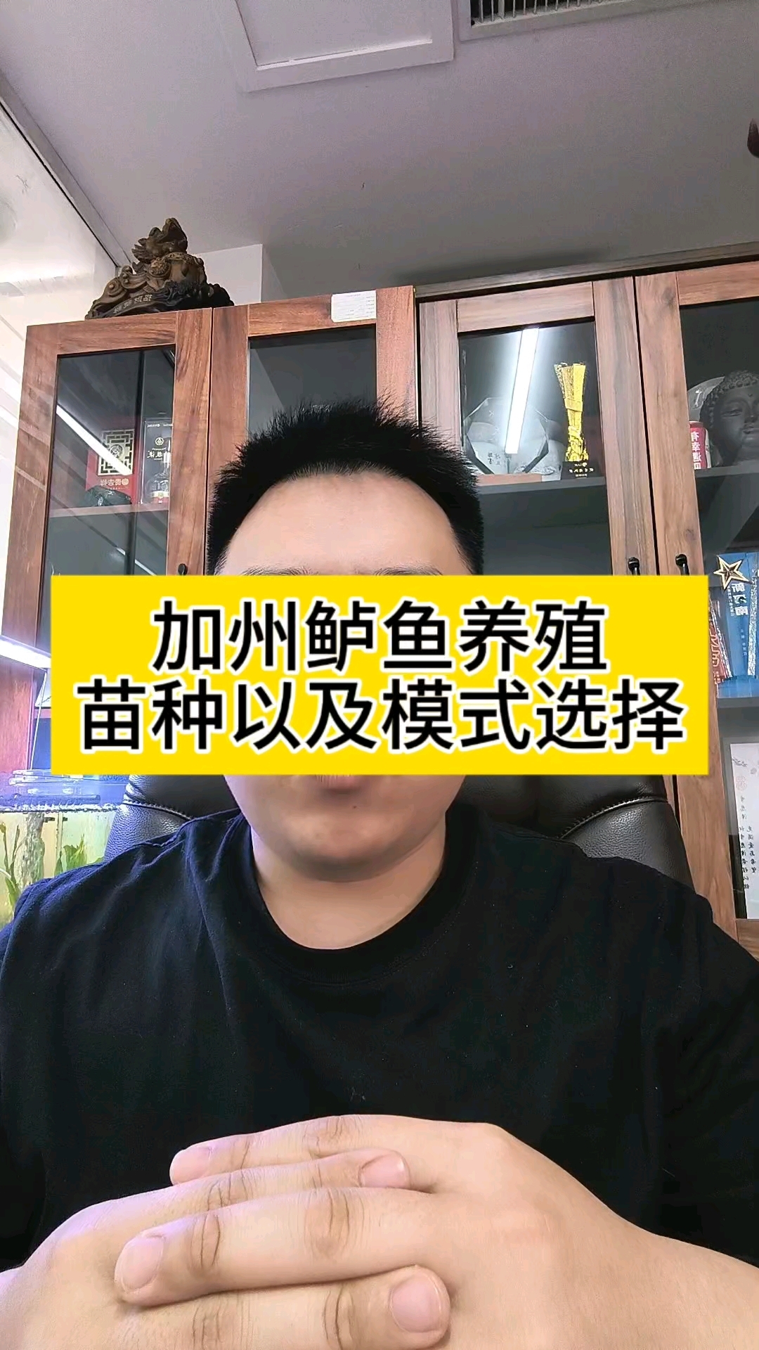 加州鲈鱼养殖苗种以及模式选择