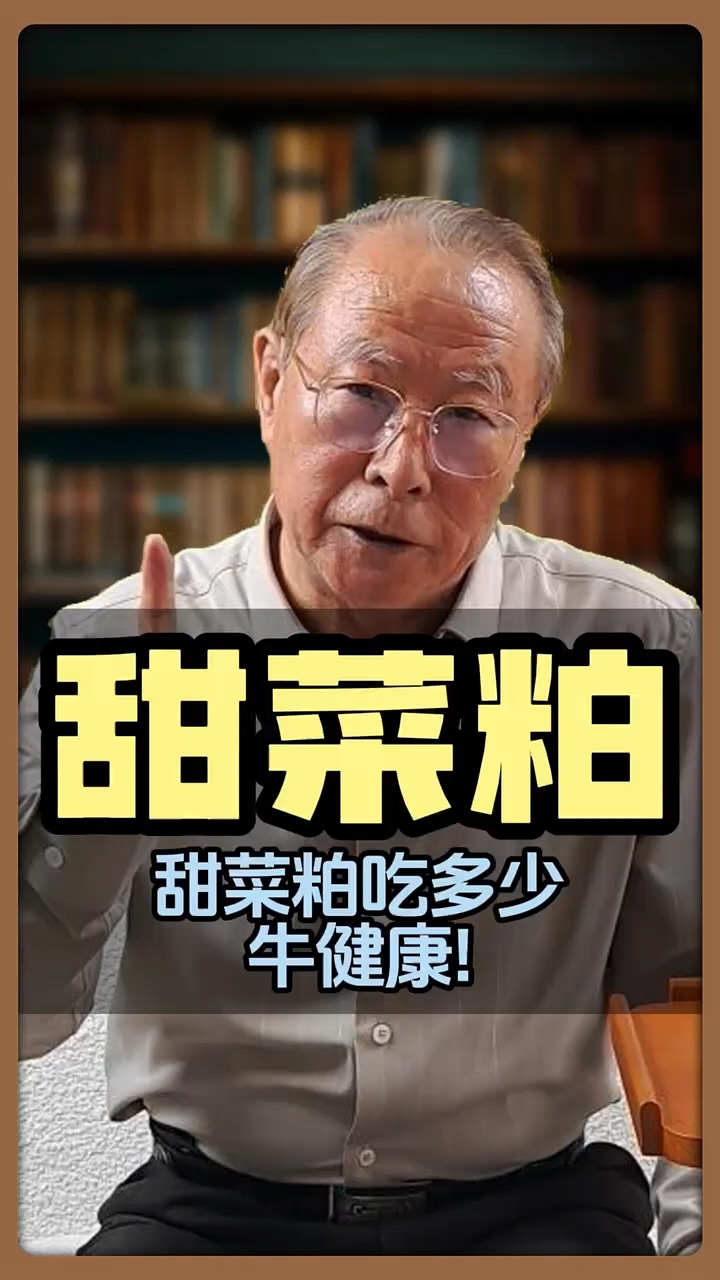 甜菜粕喂牛的好处