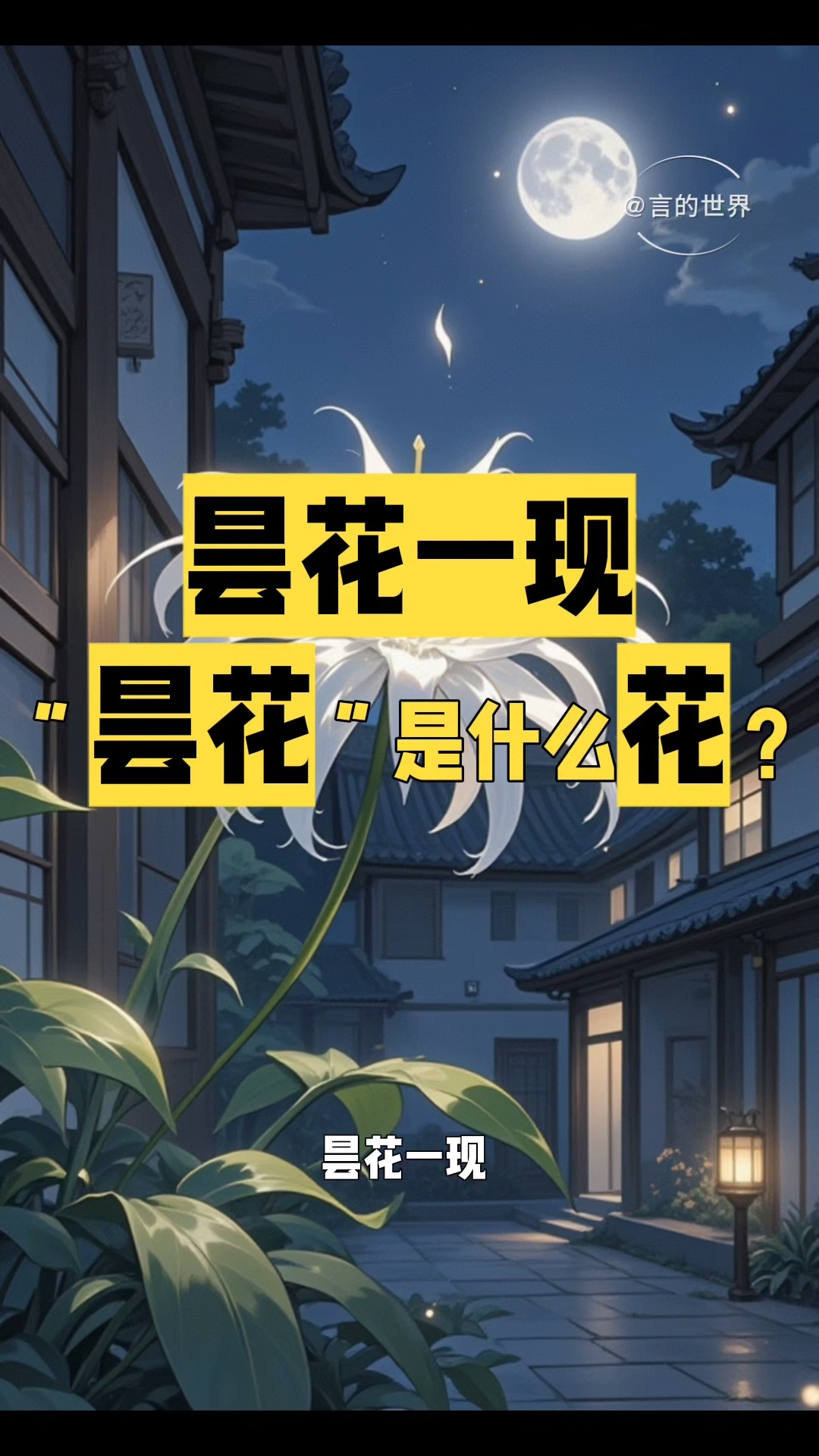 昙花一现“昙花”到底是什么花?