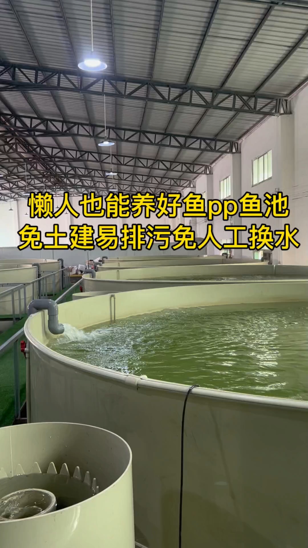养鱼的窍门有哪些?往后养鱼的新趋势,圆形池加过滤设备智能养鱼