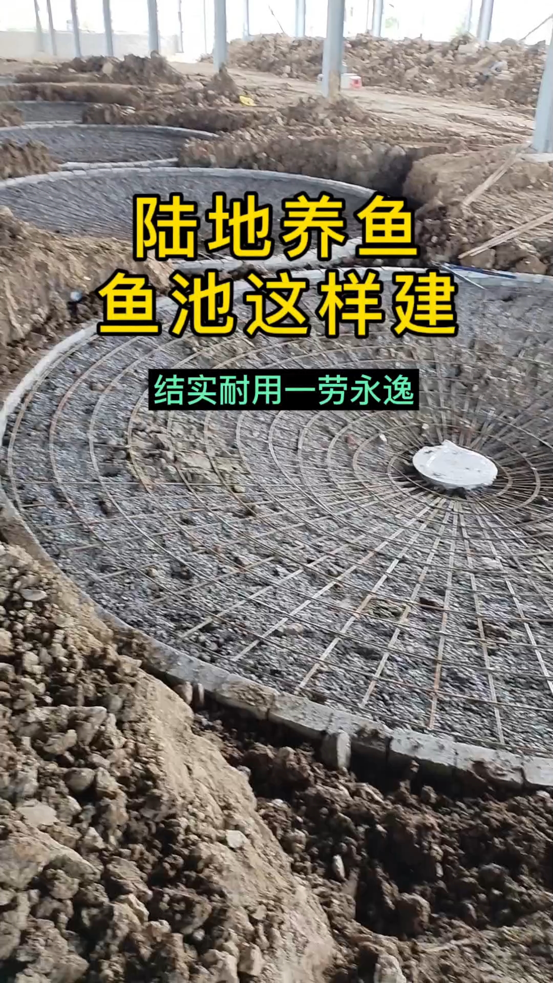 高密度循环水养鱼，鱼池这样做基建，能用30年#三农#农村创业