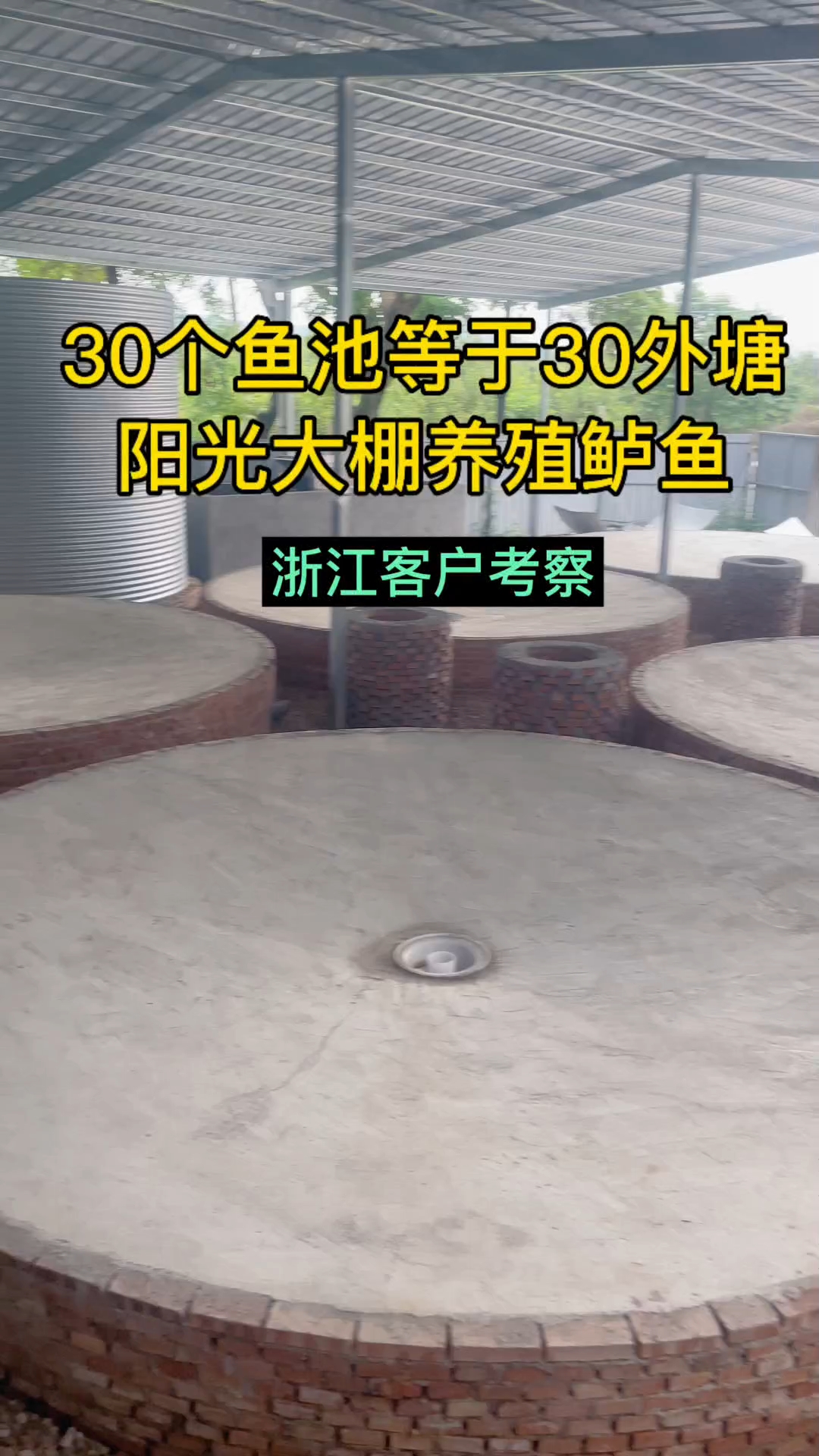 浙江客户参观阳光大棚养殖鲈鱼,30个鱼池等于30亩外塘的产量