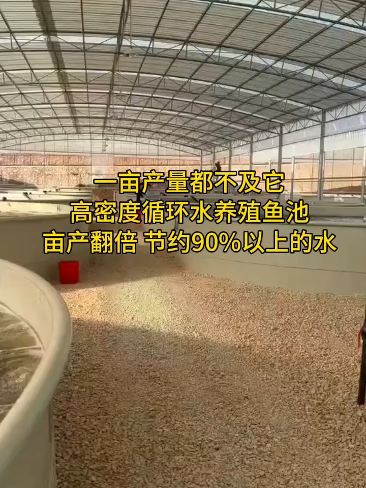 一亩产量产量都不如我这个鱼池,高密度养鱼PP鱼池