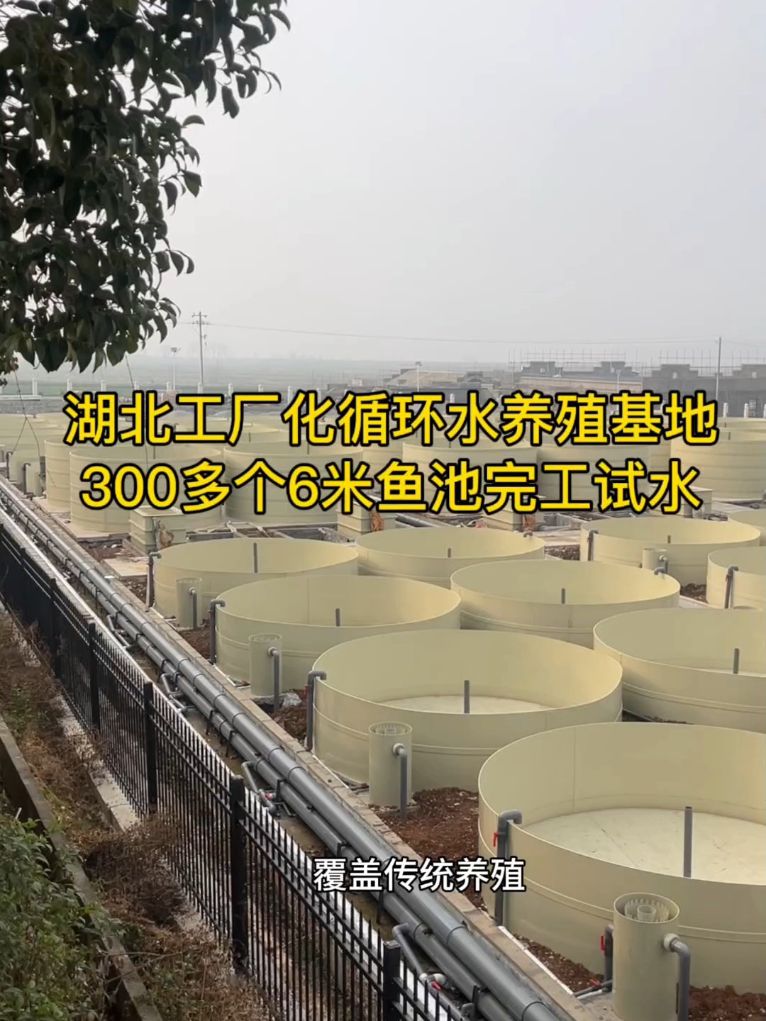 PP鱼池代替了传统的养殖池,这是湖北大型工厂化循环水养殖基地