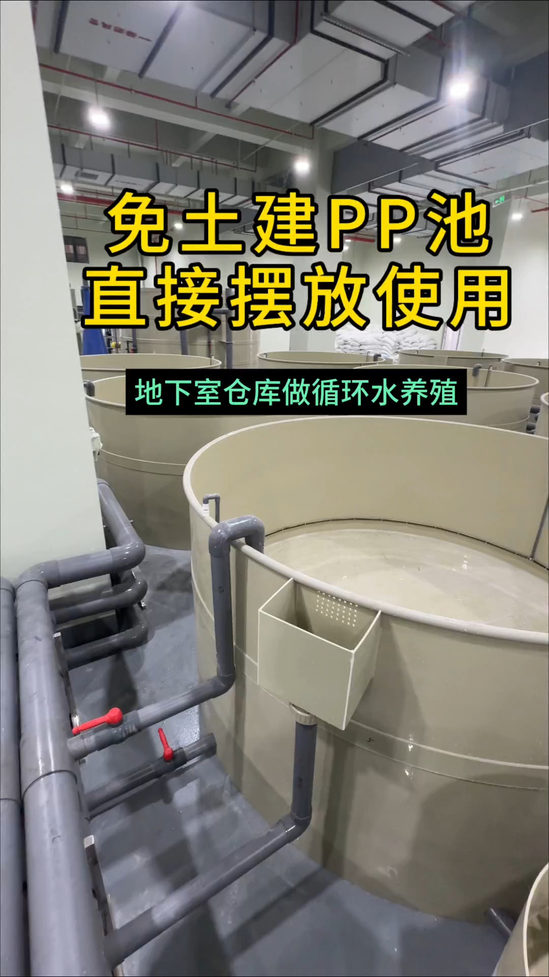 不用挖鱼塘,怎么养鱼??这是一款直接摆在地上,不用开挖免土建