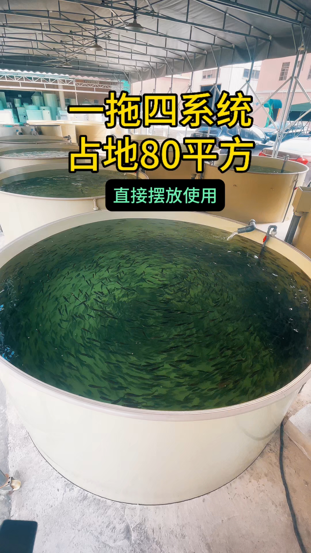 80平方的庭院实现高密度养殖,1套过滤系统拖4个鱼池