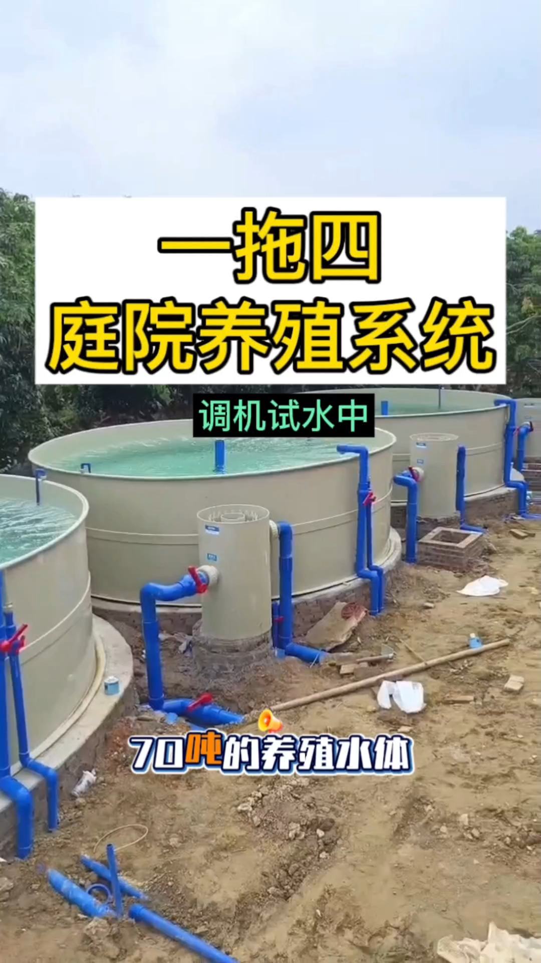 这是在庭院里面做的循环水养殖场地,一套过滤系统带4个养鱼池
