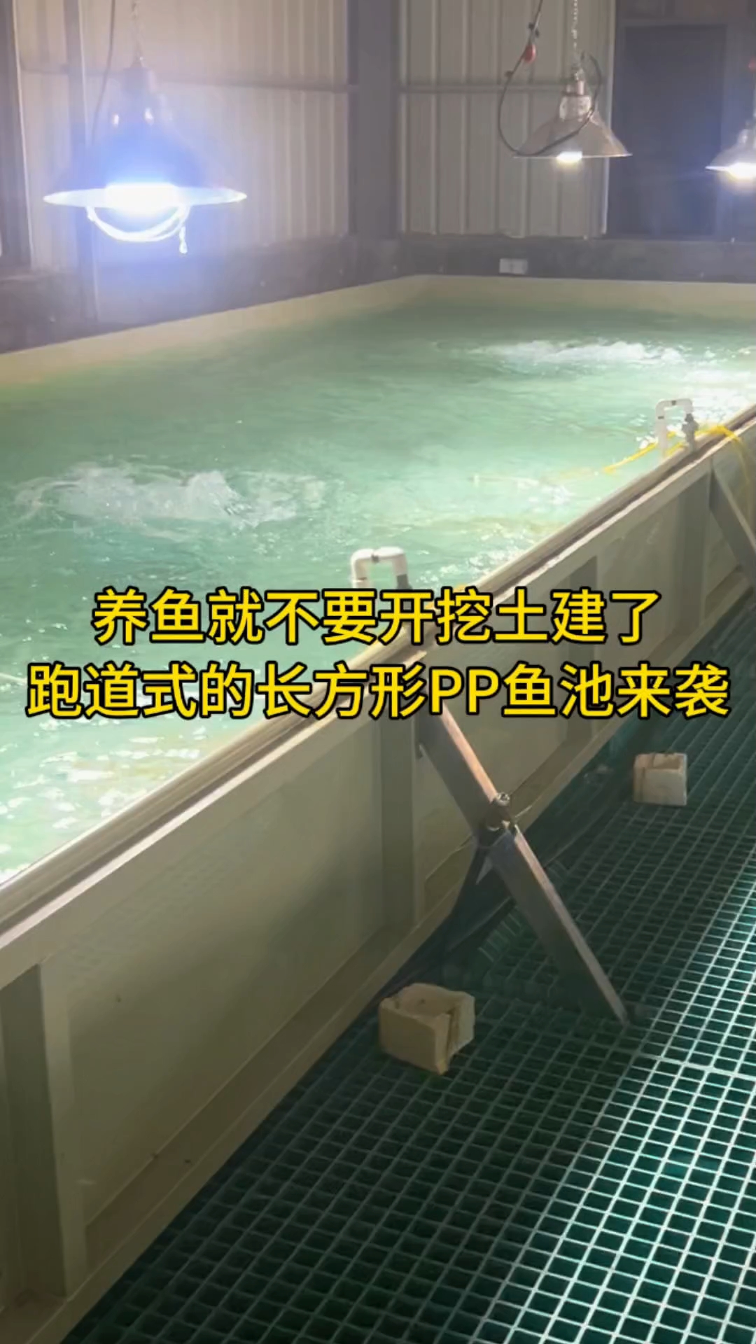 这样做的循环水养鱼能省多少人力成本呢？跑道式的设让鱼冲浪