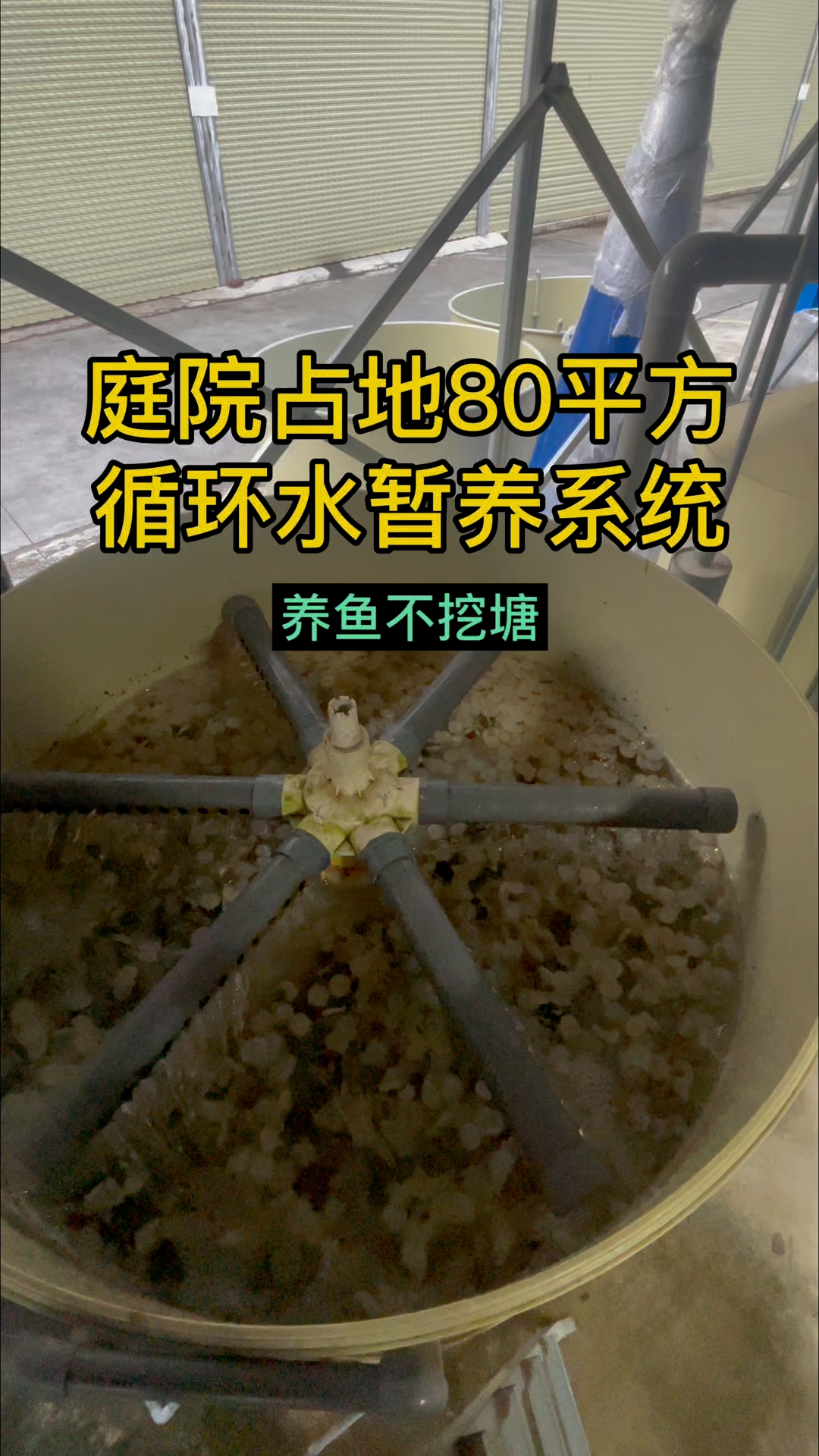 占地80平方,庭院,农场适用的循环水暂养系统搭配循环水系统