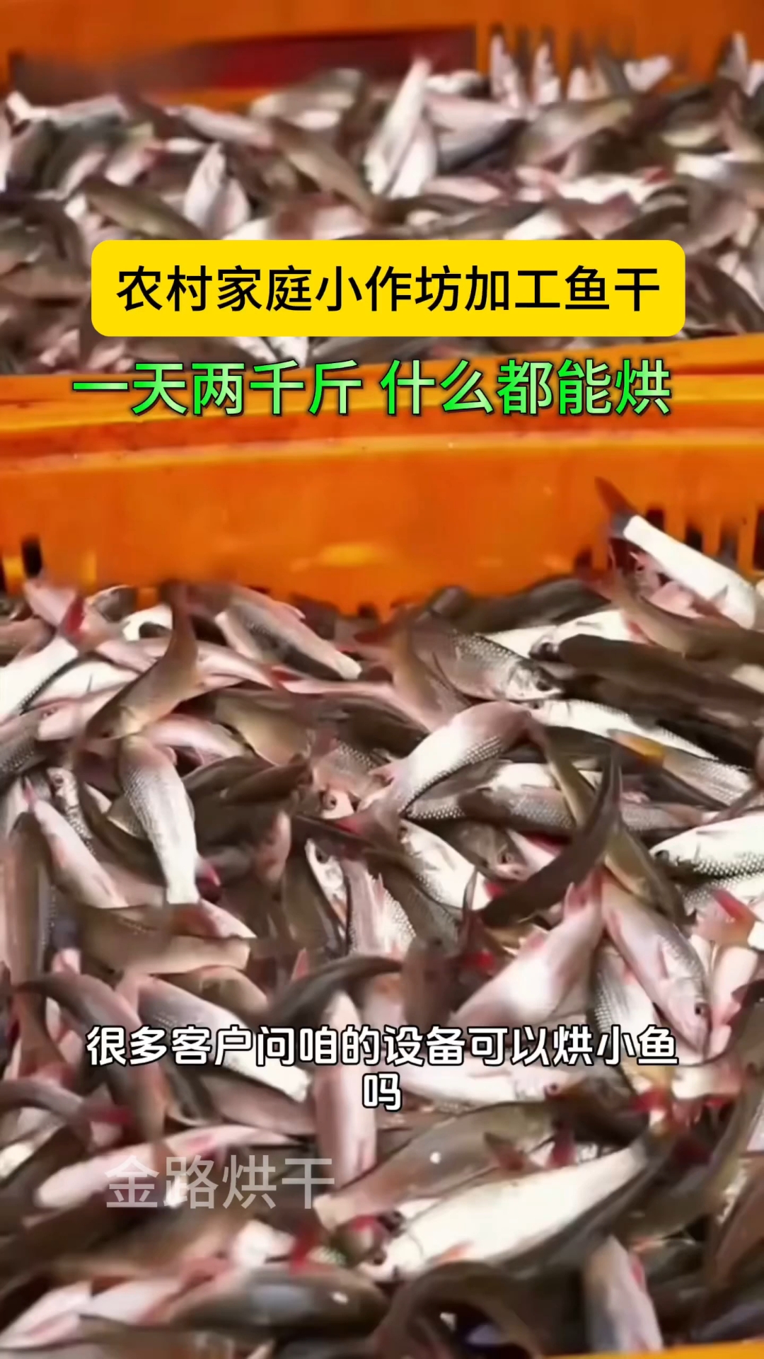 这样烘干小鱼小虾,效率高,不费力,操作方法还简单,省时省力#