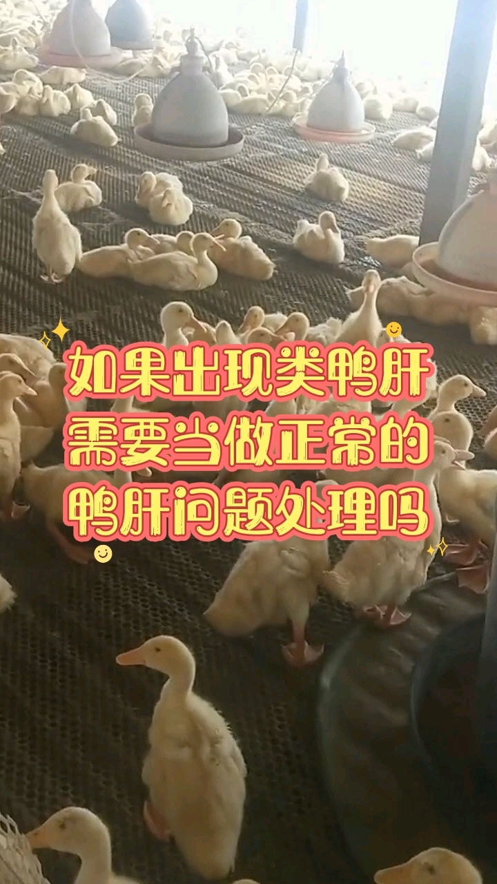这种情况需要当做正常鸭肝处理吗