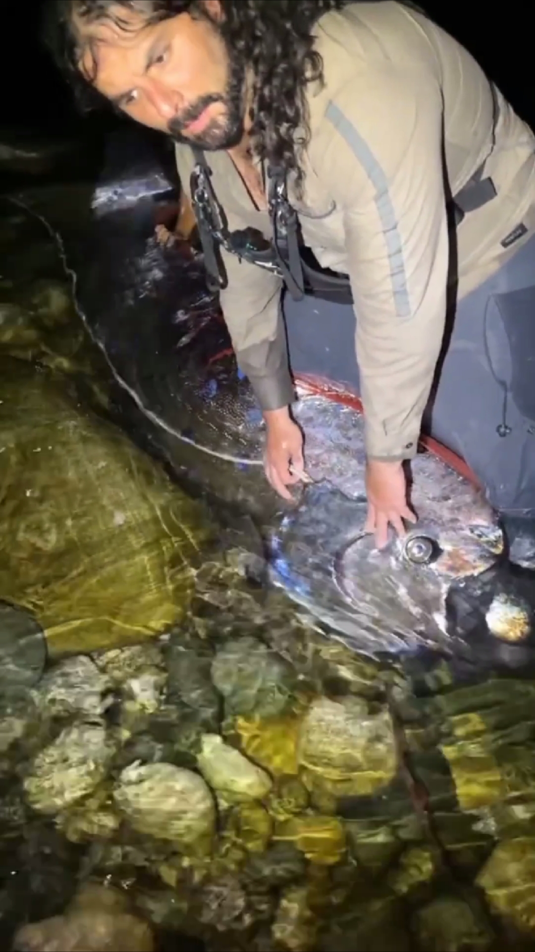 国外老哥捉到了两条巨大的皇带鱼