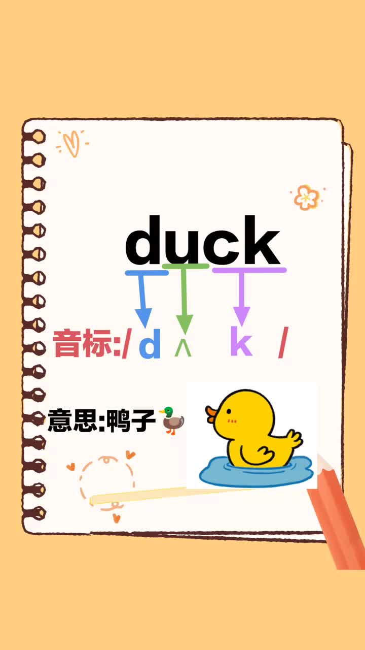 英语单词duck鸭子。