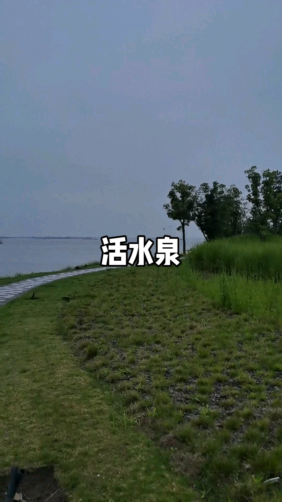 分享视频