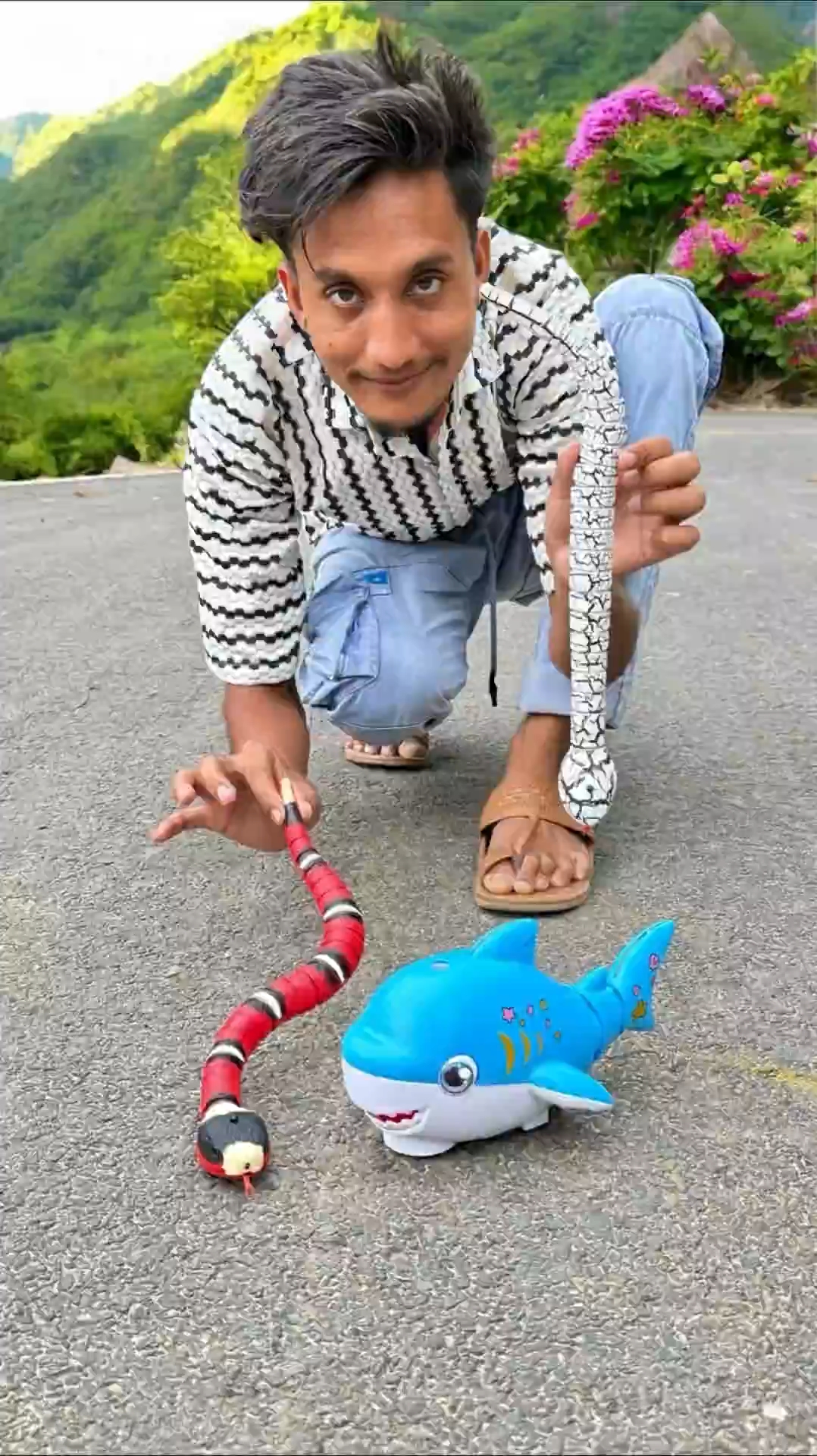 遥控鲨鱼玩具