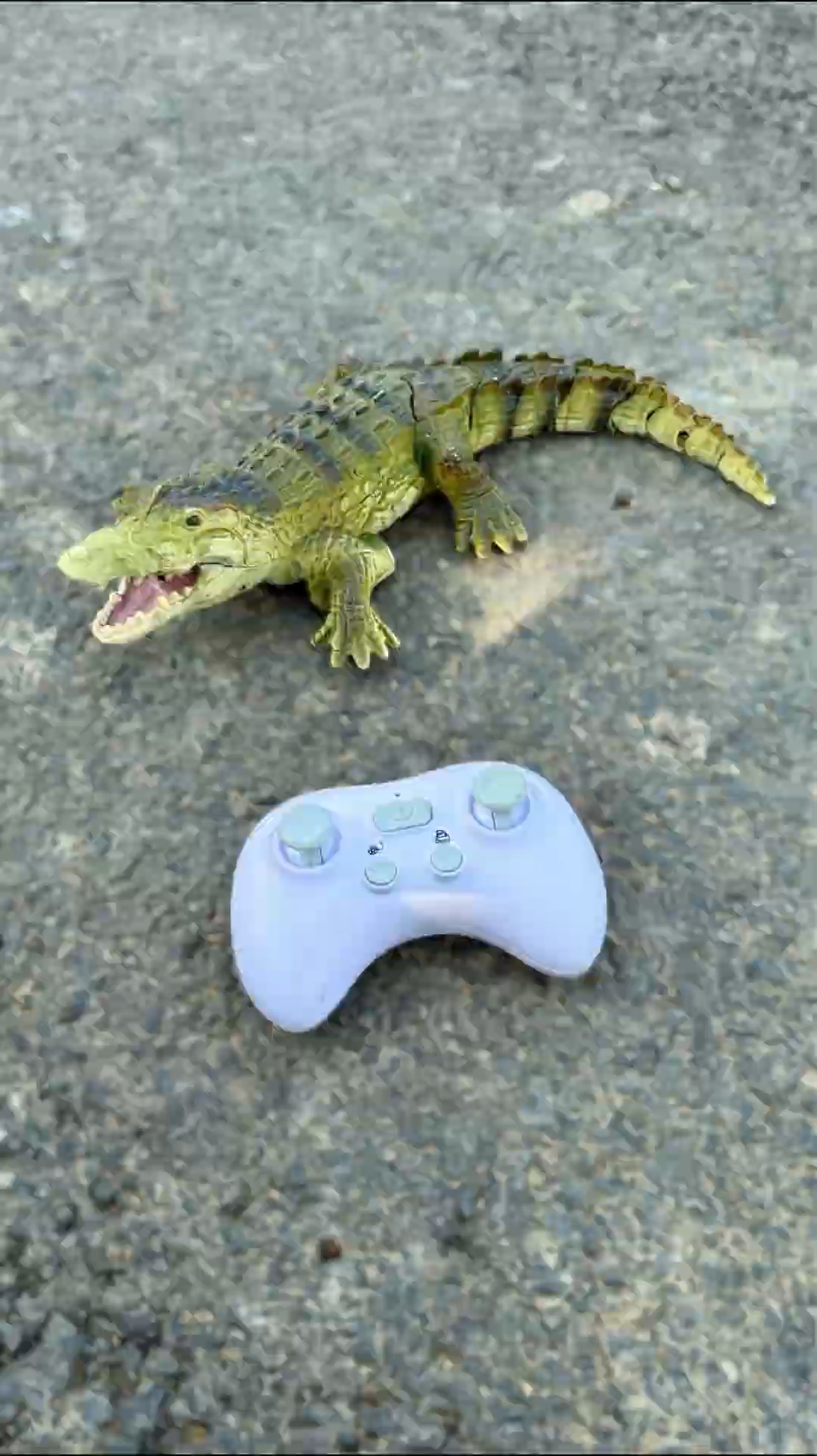 遥控鳄鱼玩具