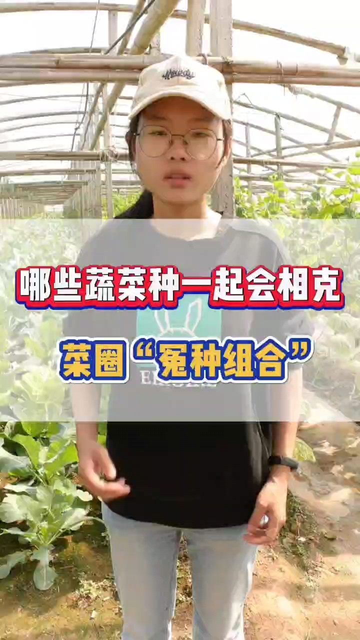 哪些蔬菜种一起会相克