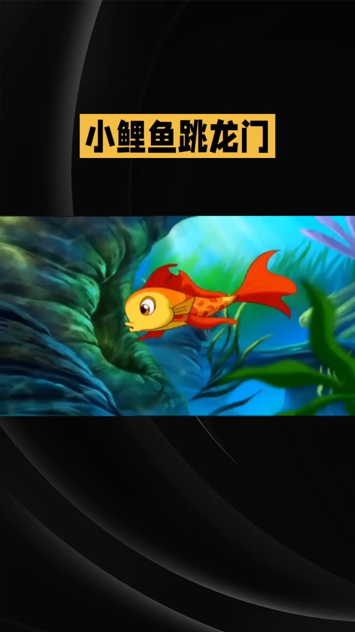 分享视频