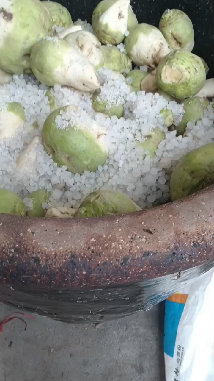 传承中华文化古法腌制咸菜记忆不加一滴水,明年开春食用,后天封