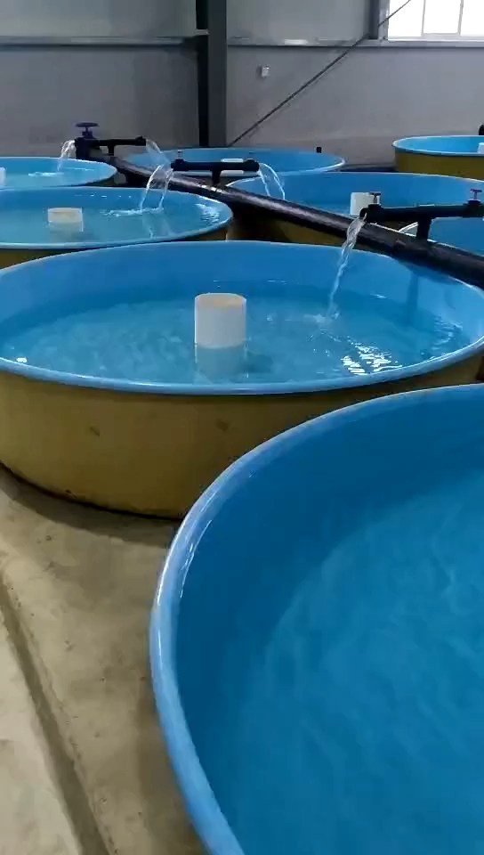 玻璃钢锦鲤养鱼池