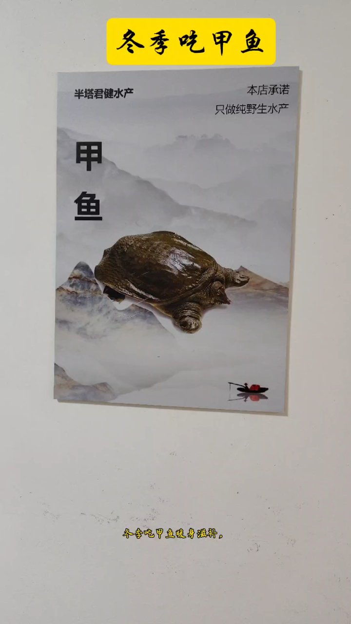甲鱼