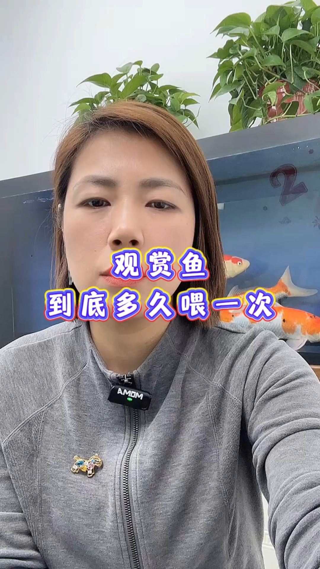 观赏鱼到底多久喂一次#观赏鱼# #养鱼日记# #新手养鱼# #养鱼经验分享#