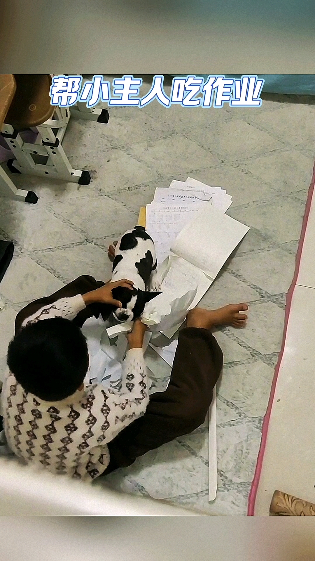 混你个鸡腿吃,也太难了