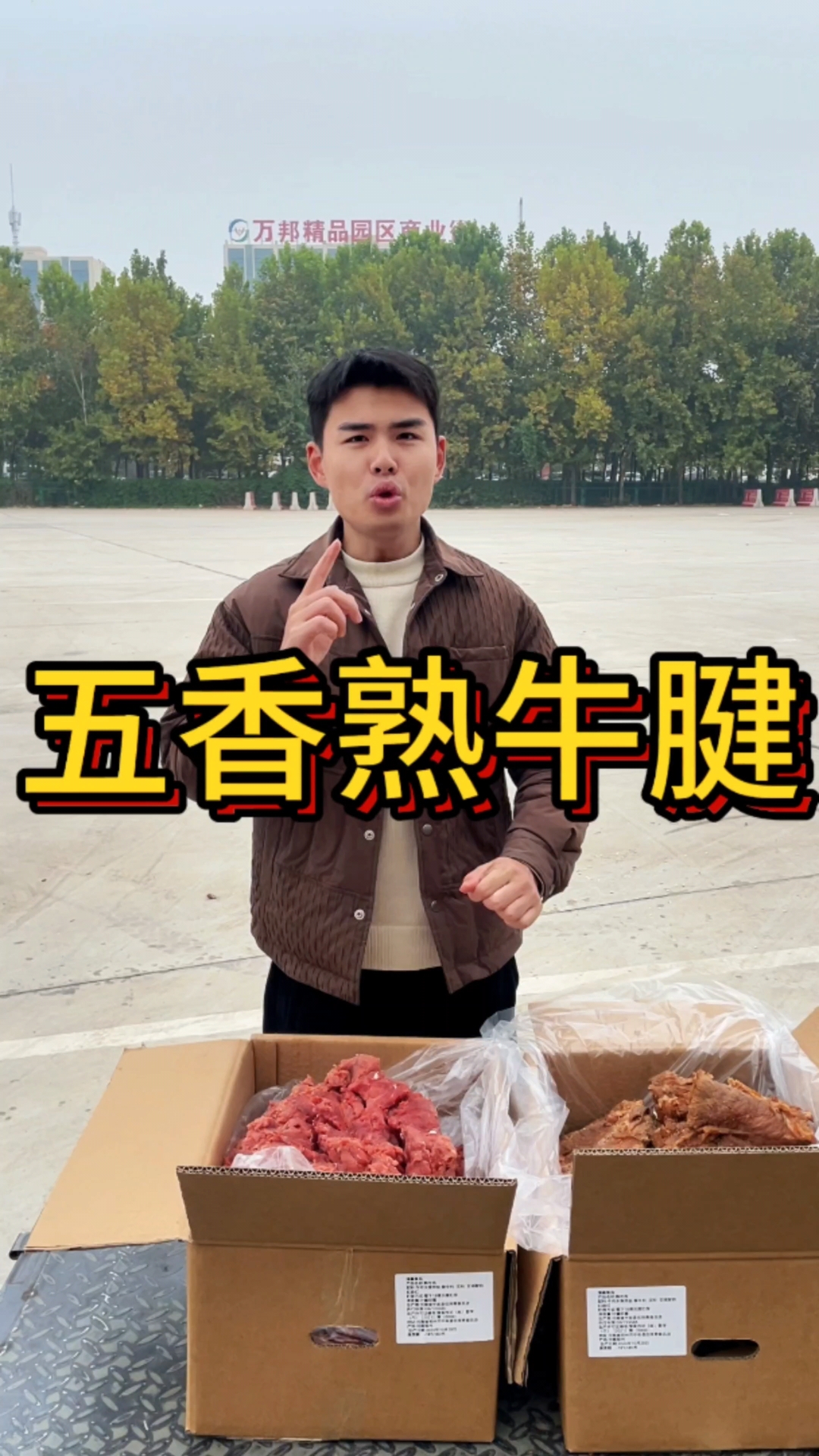 酱香牛腱,五香牛脖肉