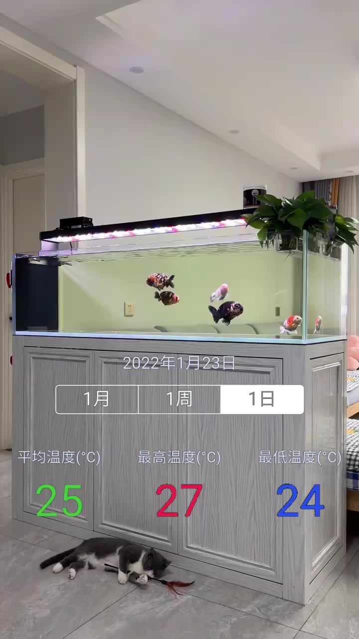鱼缸加热棒的选择很关键