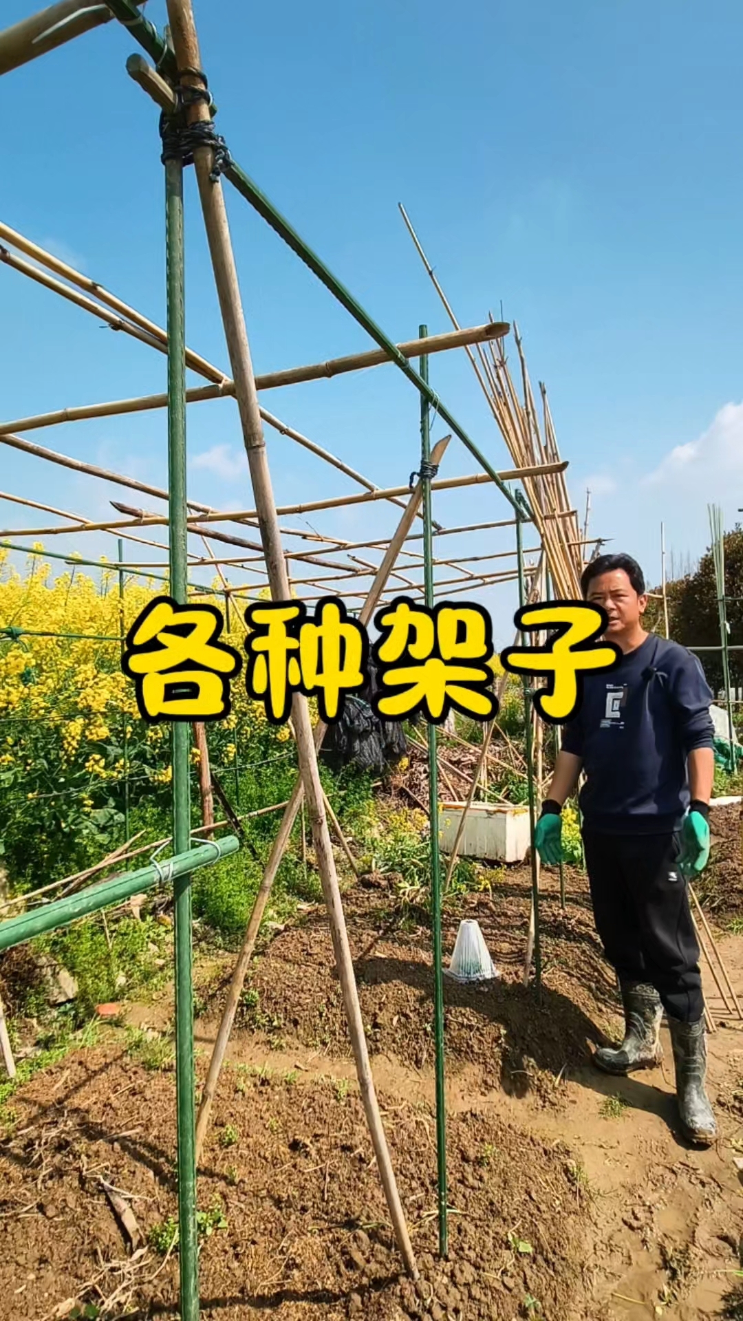 春天种菜,各种架子怎么搭?#乡村烟火气# #优质视频激励计划#