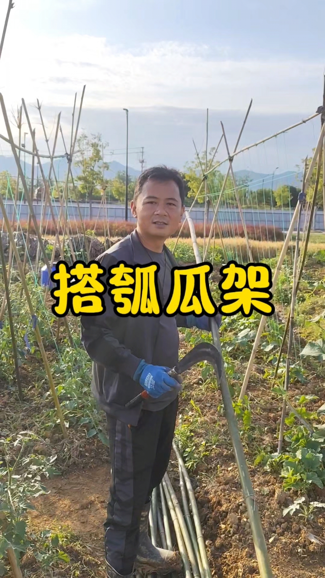 菜地里面怎么搭架子?