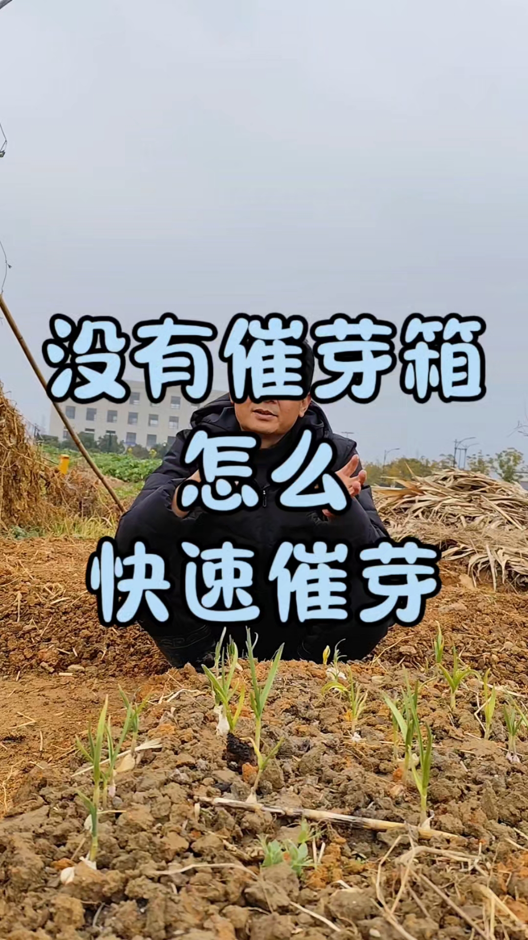 没有催芽箱,种子怎么快速催芽?