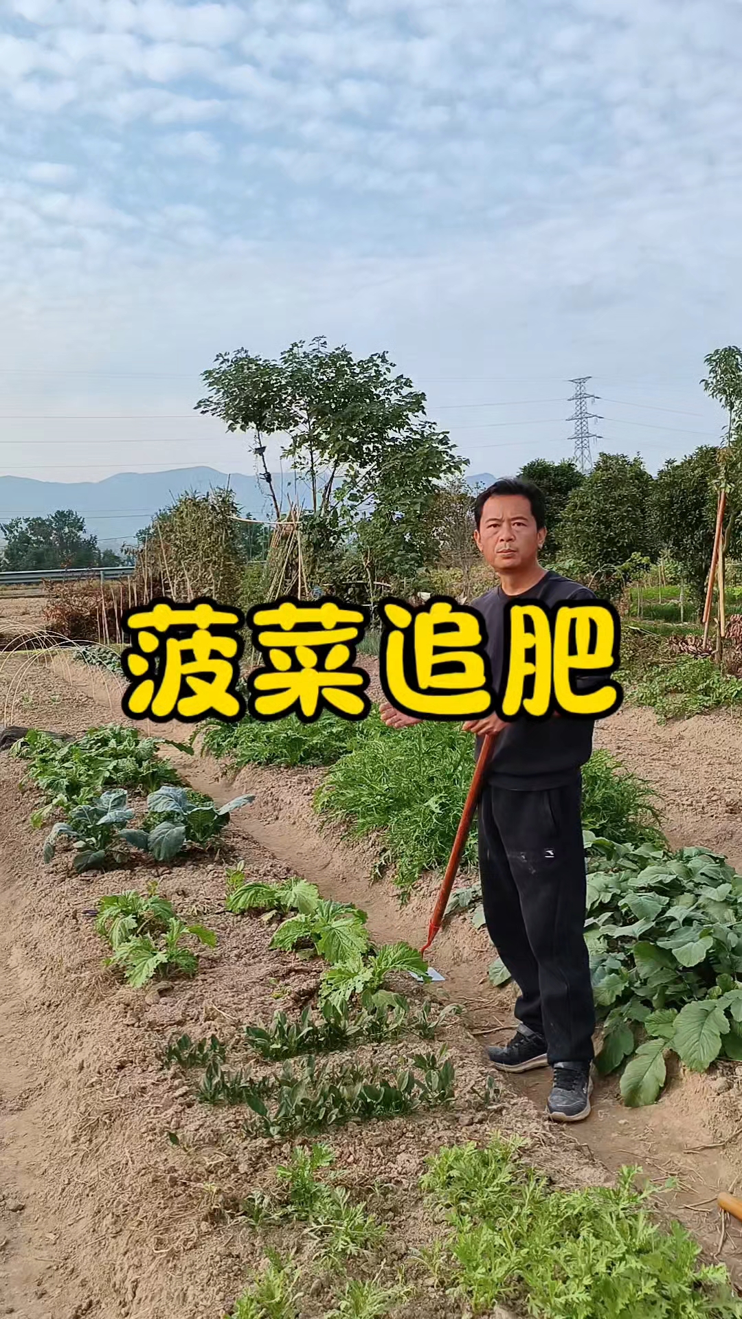 菠菜什么时候追肥？菠菜追什么肥？