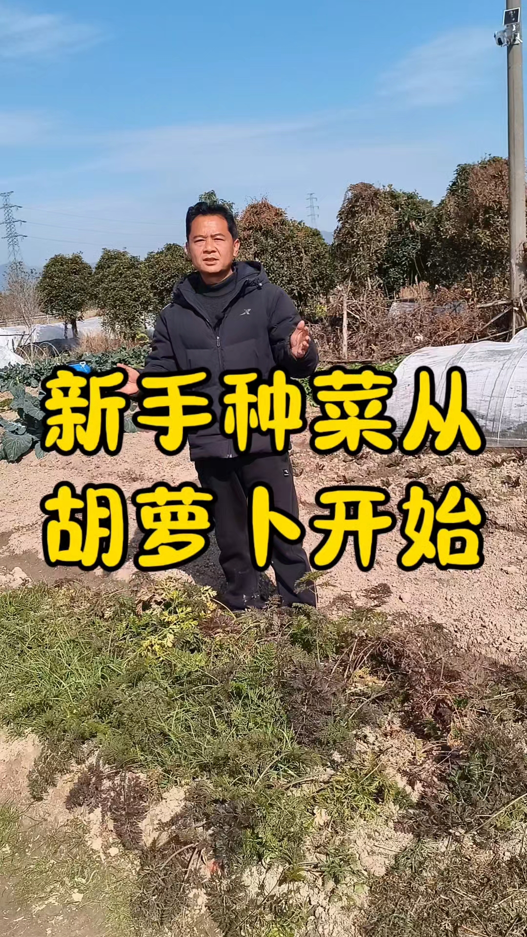 新手种菜从什么开始?
