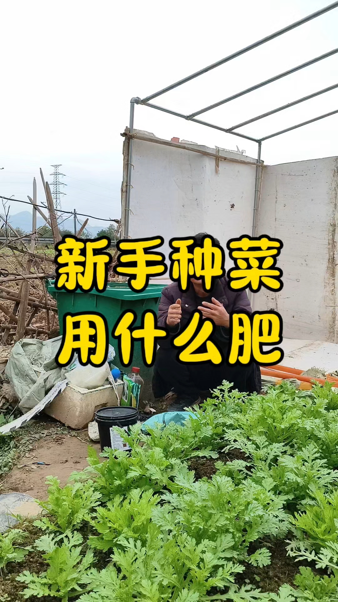 新手种菜需要哪些肥料？