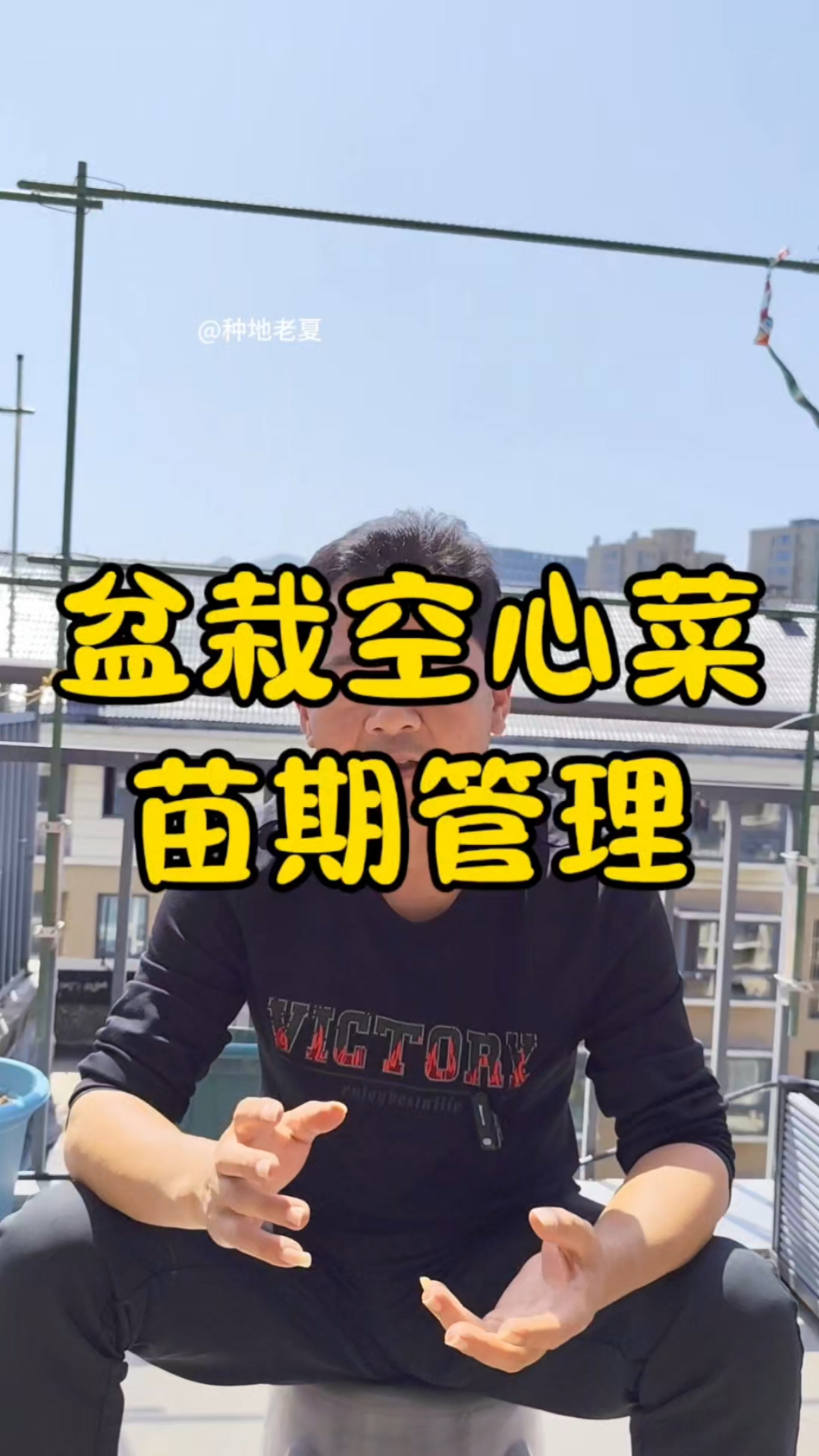 盆栽空心菜出苗后怎么管理?