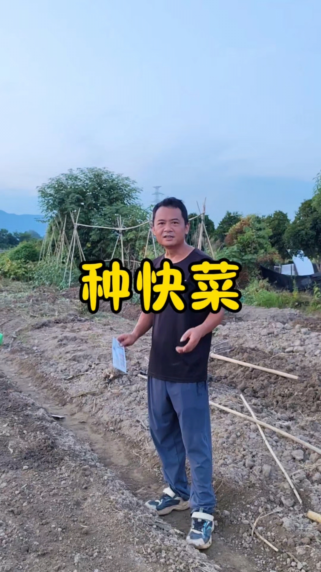 快菜什么时候种?快菜怎么种