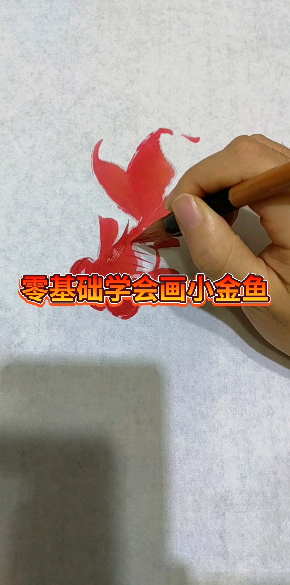 零基础入门教学金鱼