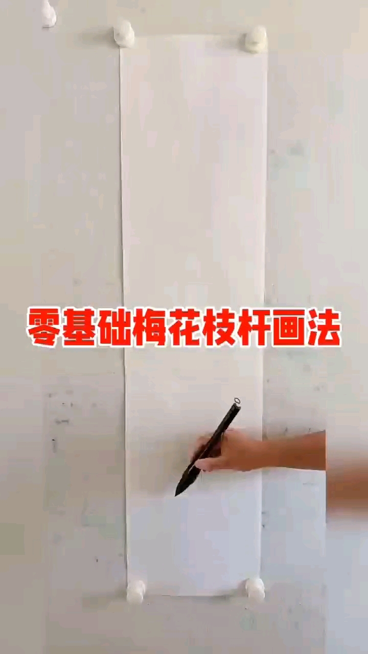 淡惠轩基础梅花步骤