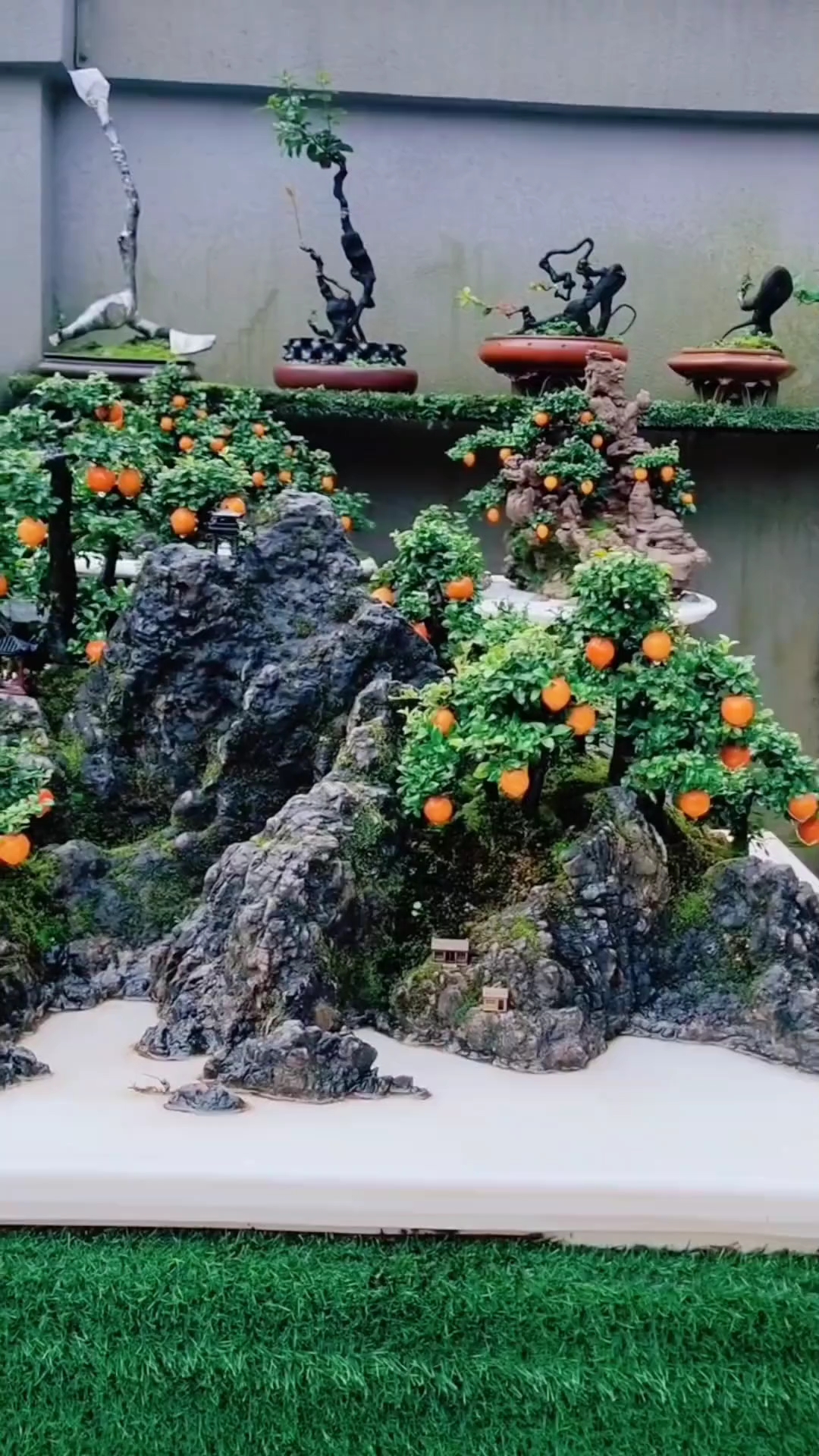假山盆景欣赏