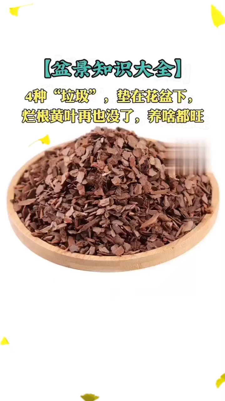 盆景知识大全