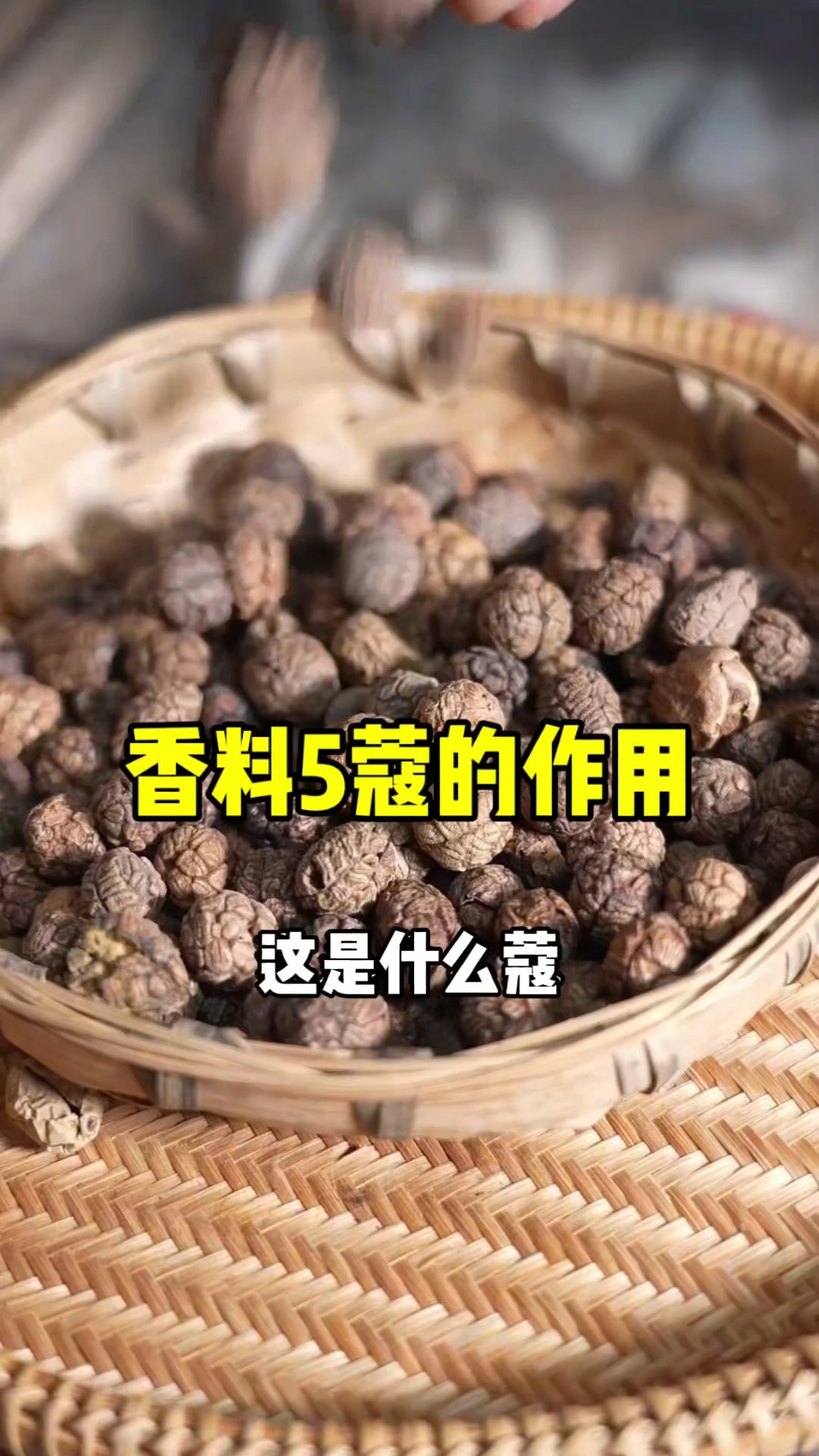 香料中5蔻的作用 香料 卤菜 肉蔻 卤菜培训 学四川卤菜 