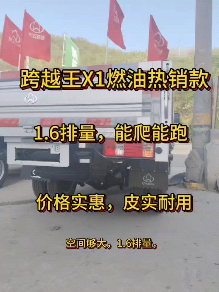 双排双轮胎的一款小货车,经济实惠,赶快来看车吧!