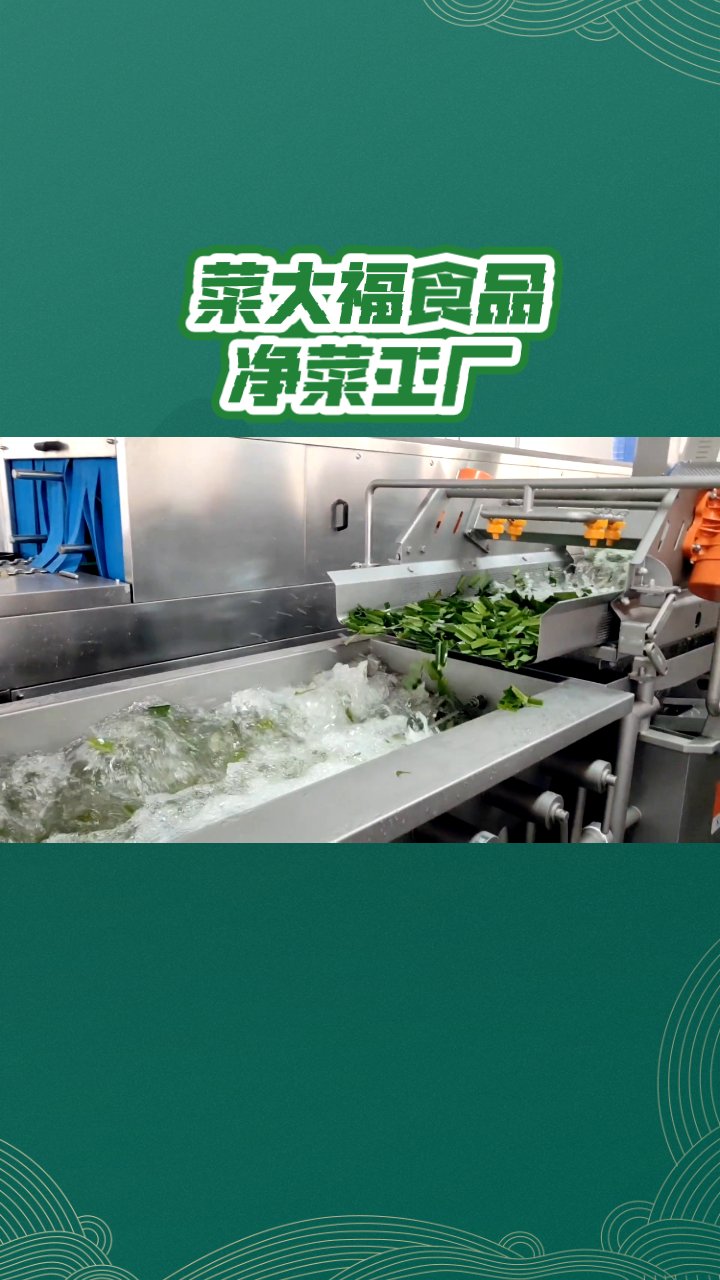 牡丹江菜大福:净菜工厂直供餐饮