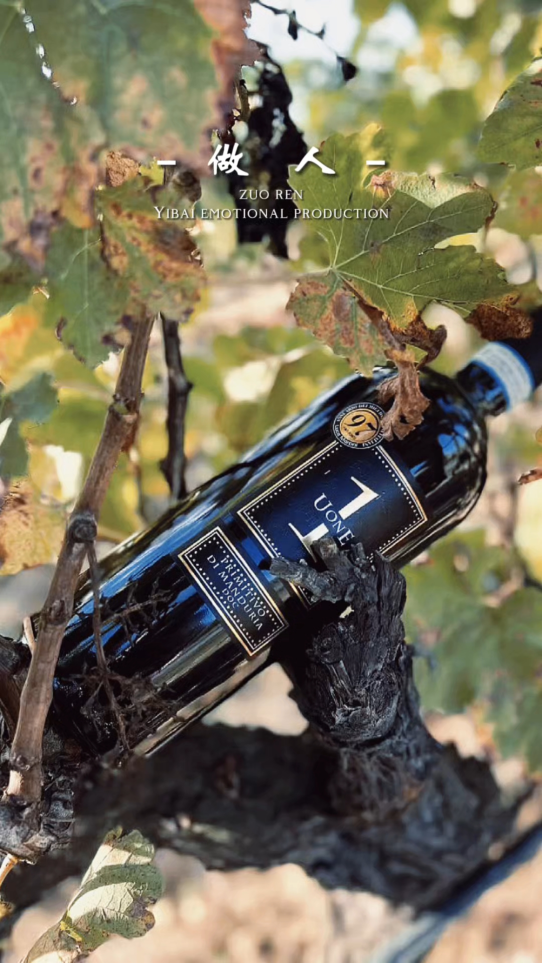 唯意一号乐章红葡萄酒唯意一号乐章红葡萄酒来自意大利精品产区