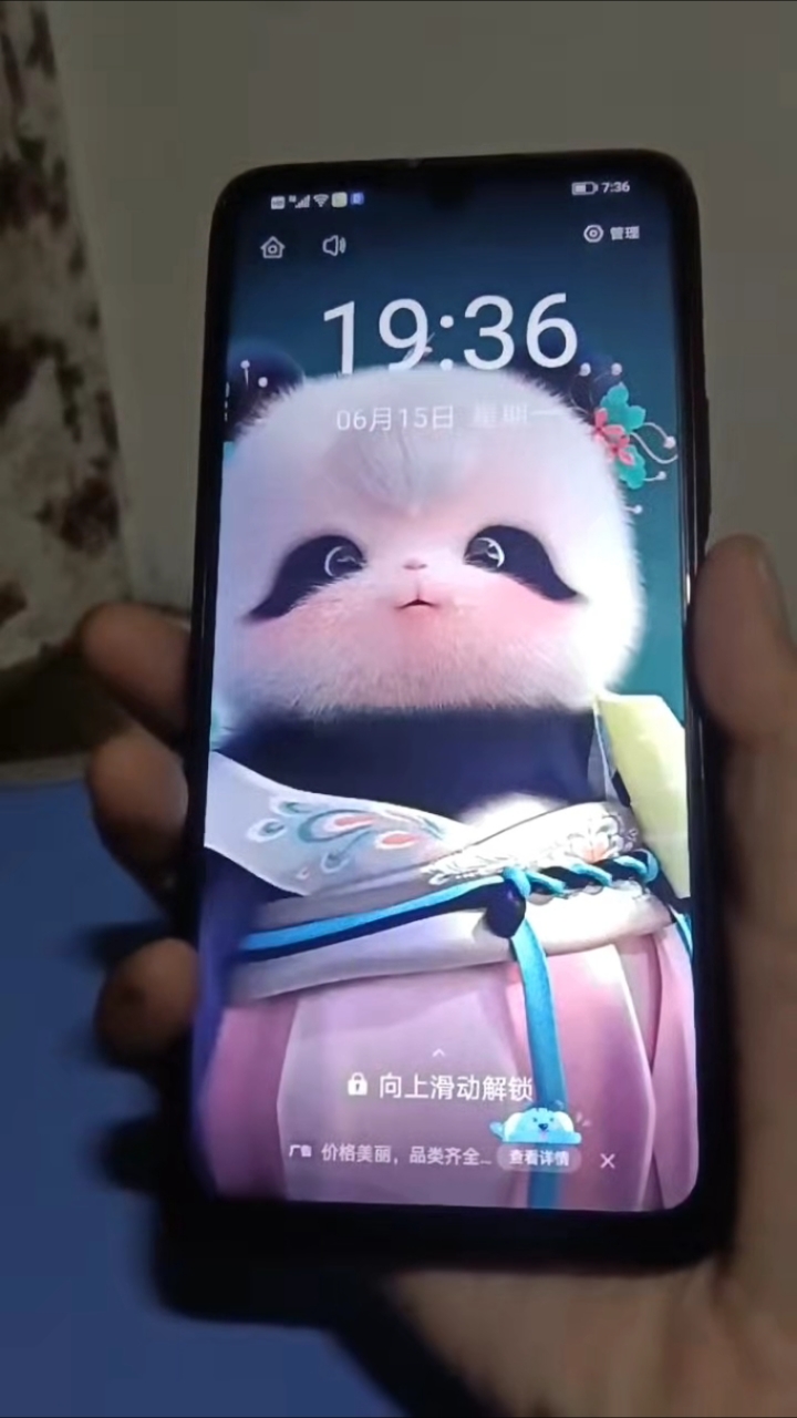 送你一张偷看手机动态壁纸#动态壁纸 #偷看手机动态壁纸 #熊非熊偷看手机动态壁纸 #