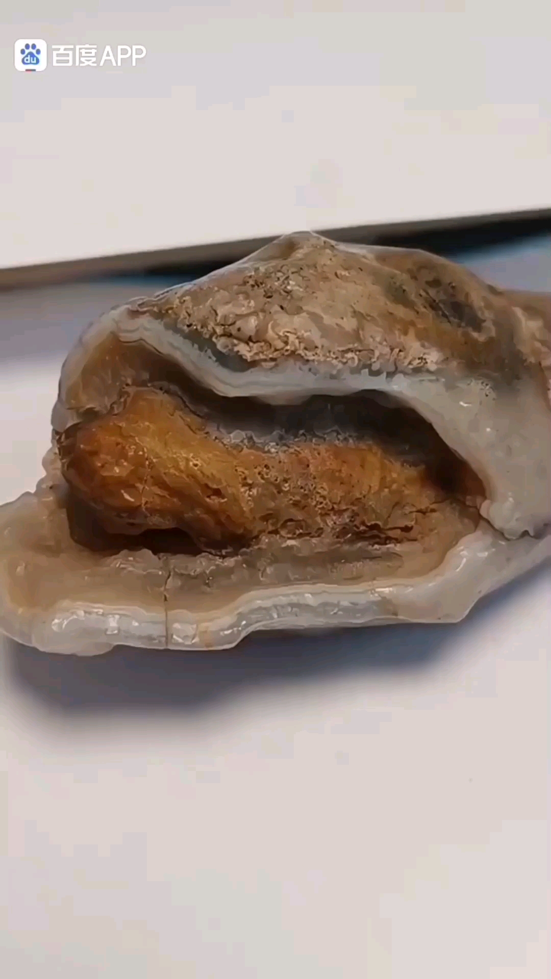 玛瑙湖小鸡出壳出生地发现了弟弟小龙出壳